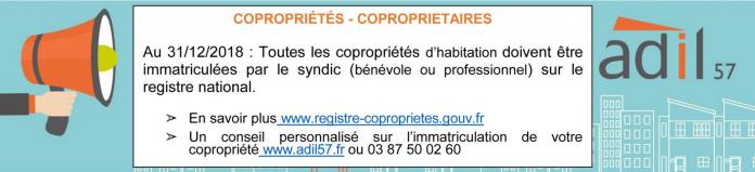 Prop comm registre immatriculation 1